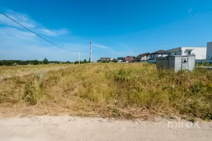 str. Ion si Doina Aldea-Teodorovici imaginea 228892