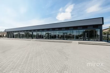 с. Кетросу, Новые Анены, Молдова изображение 221479