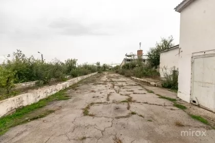 сек. Ботаника, Новые Анены, Геамана изображение 189135