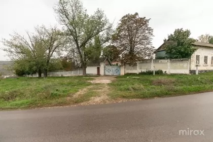 сек. Ботаника, Новые Анены, Геамана изображение 189134