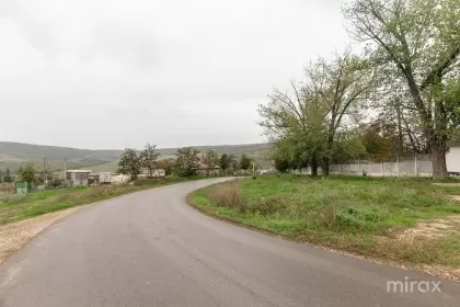 сек. Ботаника, Новые Анены, Геамана изображение 189136