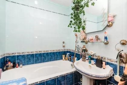 ул. Ливиу Деляну, Буюканы, Кишинев изображение 234765