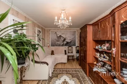 ул. Ливиу Деляну, Буюканы, Кишинев изображение 234762