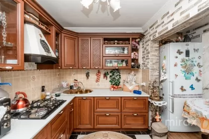 ул. Ливиу Деляну, Буюканы, Кишинев изображение 234757