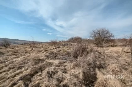 с. Пересечина, Орхей, мун. Кишинев изображение 210336