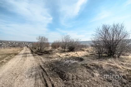 с. Пересечина, Орхей, мун. Кишинев изображение 210338
