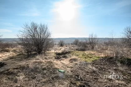с. Пересечина, Орхей, мун. Кишинев изображение 210339