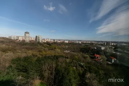 ул. Тудор Стришкэ, Ботаника, мун. Кишинев изображение 216342