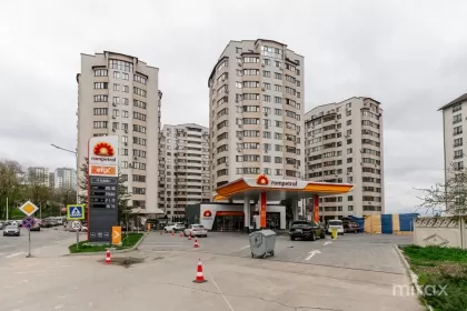 ул. Тудор Стришкэ, Ботаника, мун. Кишинев изображение 216347