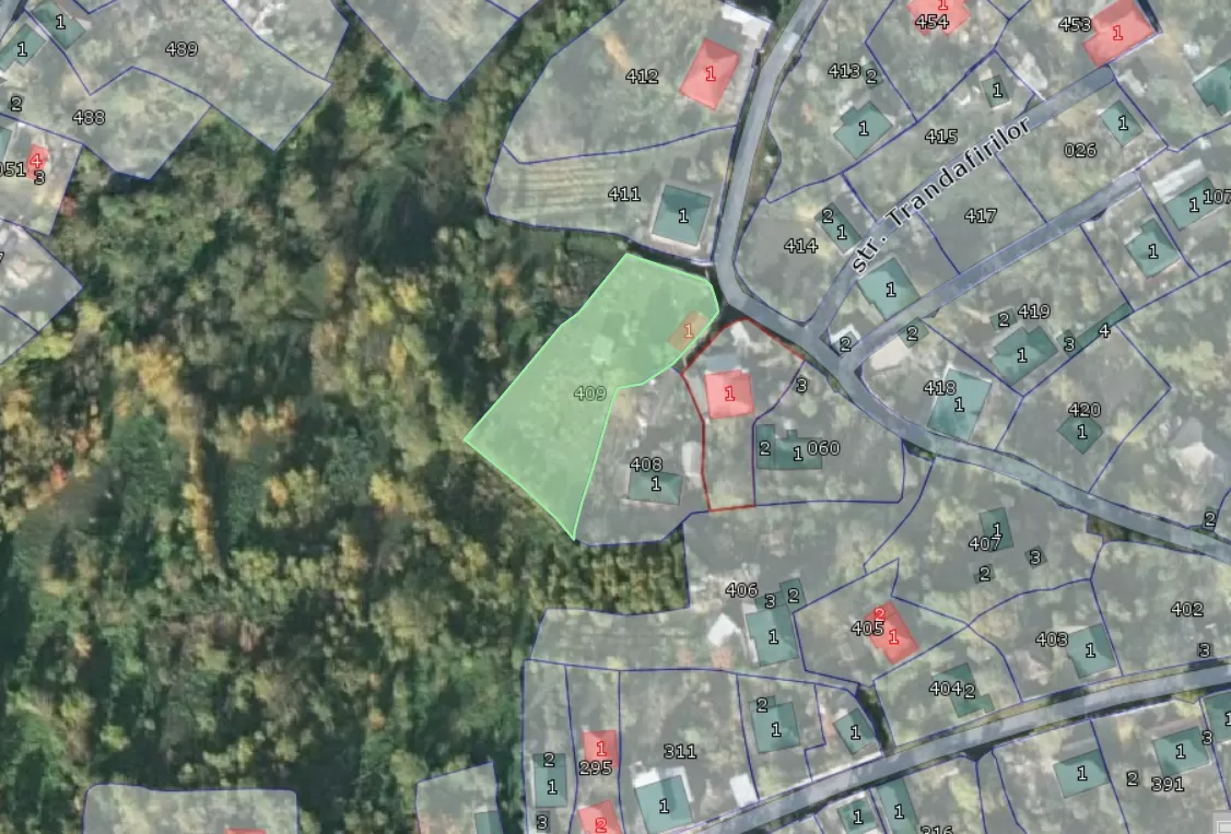 ул. Трандафирилор, Трушень, Кишинев