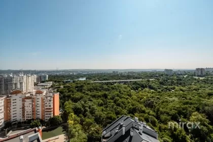 ул. Н. Тестемицану, Центр, Кишинев изображение 225297