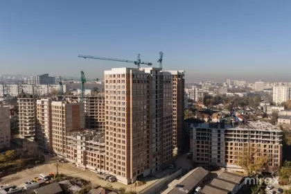 ул. Диминеций, Ботаника, мун. Кишинев изображение 222898