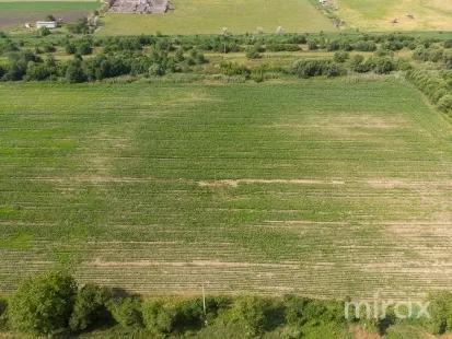 or. Sângera, Chișinău, Moldova image 225310