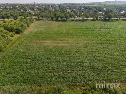 or. Sângera, Chișinău, Moldova image 225315