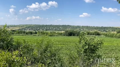 or. Sângera, Chișinău, Moldova image 225324