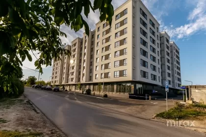 ул. Дурлешты, Буюканы, Кишинев изображение 98440