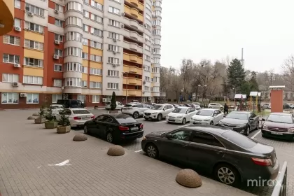 ул. Николай Зелинский, Ботаника, мун. Кишинев изображение 213591