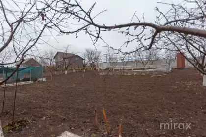 с. Будешты, Кишинёв, Молдова изображение 226721