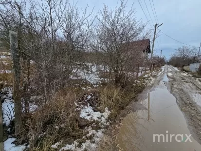 IP Dumbrava Nouă, Trușeni, mun. Chișinău imaginea 209170