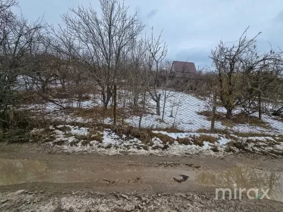 IP Dumbrava Nouă, Trușeni, mun. Chișinău imaginea 209169