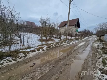 IP Dumbrava Nouă, Trușeni, mun. Chișinău imaginea 209171
