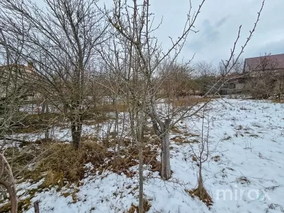 IP Dumbrava Nouă, Trușeni, mun. Chișinău imaginea 209174