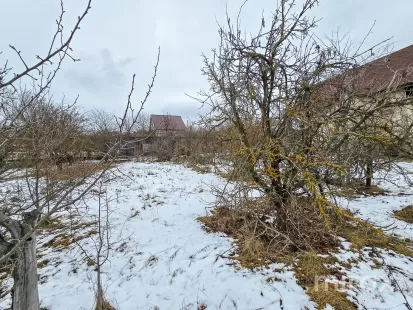 IP Dumbrava Nouă, Trușeni, mun. Chișinău imaginea 209175