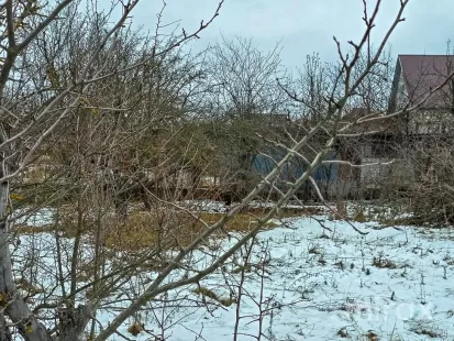 IP Dumbrava Nouă, Trușeni, mun. Chișinău imaginea 209176