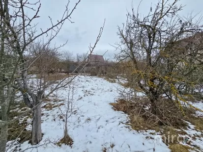 IP Dumbrava Nouă, Trușeni, mun. Chișinău imaginea 209177