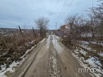 IP Dumbrava Nouă, Trușeni, mun. Chișinău imaginea 209178