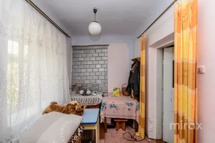 s. Suruceni, Ialoveni, Moldova, mun.Chisinau imaginea 225390