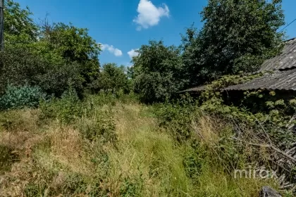 s. Suruceni, Ialoveni, Moldova, mun.Chisinau imaginea 225396