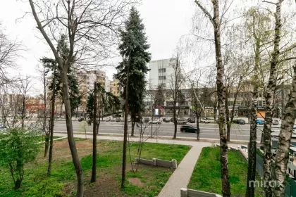 бул. Дечебал, Ботаника, мун. Кишинев изображение 215227