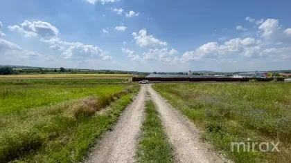 Цынцарены, Новые Анены, Кишинев изображение 225408