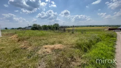 Цынцарены, Новые Анены, Кишинев изображение 225410