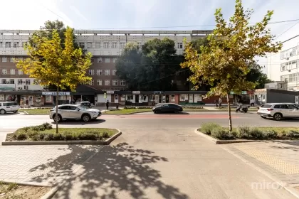 ул. Николай Зелинский, Ботаника изображение 236176