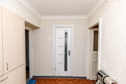 ул. Николай Зелинский, Ботаника изображение 236178