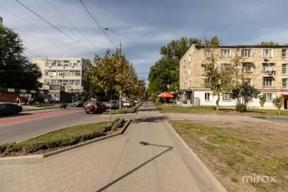 ул. Николай Зелинский, Ботаника изображение 236179