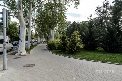 ул. Ион Крянгэ,  Буюкань, мун. Кишинев изображение 220376