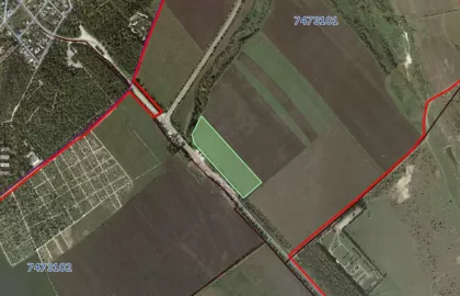 com. Țambula, Sângerei, Moldova imaginea 170887