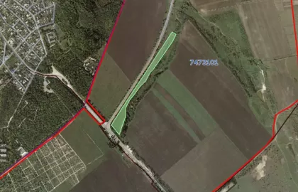 com. Țambula, Sângerei, Moldova imaginea 170889