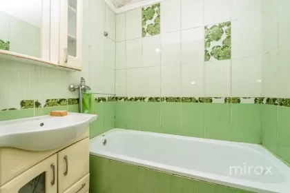 ул. Ливиу Деляну, Буюканы, Кишинев изображение 228011