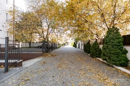 str. Mihail Berezovschi, Telecentru imaginea 237423