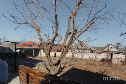 str. Ștefan cel Mare, Cricova, mun. Chișinău imaginea 213911