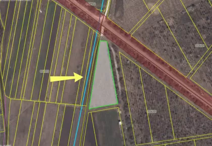 com. Colonița, mun. Chișinău imaginea 240031