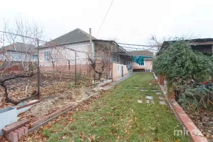 с. Хыртопул Маре, Криулень, Кишинев изображение 197387