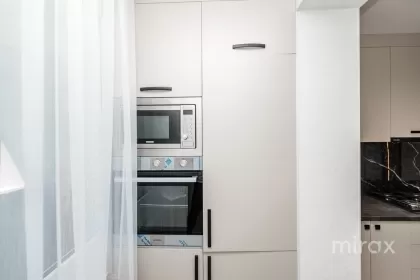ул. Ливиу Деляну, Буюканы, Кишинев изображение 232169