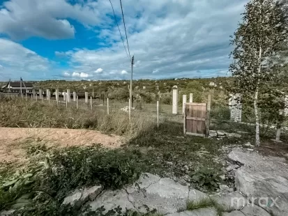 с. Избешть, Криулень, мун. Кишинёв изображение 43959
