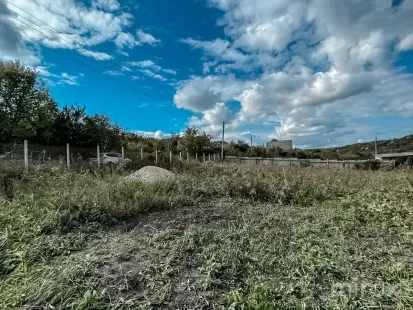 с. Избешть, Криулень, мун. Кишинёв изображение 43960