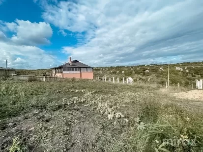 с. Избешть, Криулень, мун. Кишинёв изображение 43956